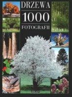 Drzewa 1000 fotografii (outlet)